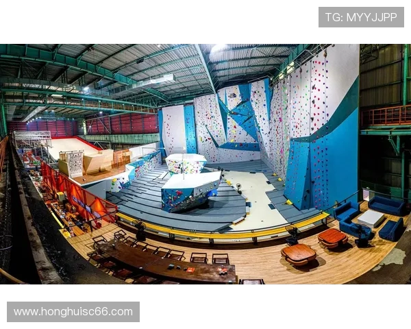 上海攀岩队的成功运营模式与发展策略深度解析