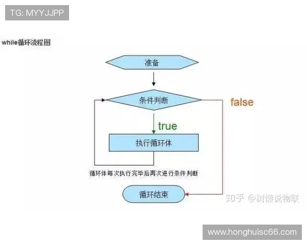 攀岩新手必看：从基础知识到实战技巧的全面入门指南