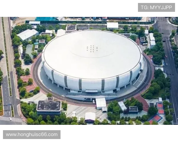 杭州羽毛球队的实力分析与发展潜力探讨