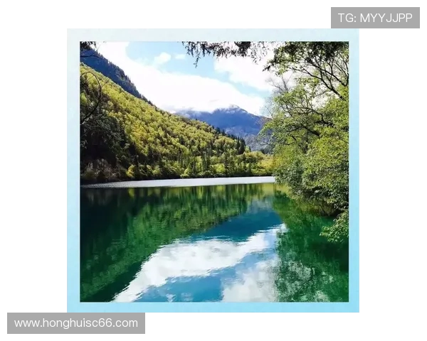 探索阿拉巴的历史文化与自然风光之美，感受多元魅力与独特风情