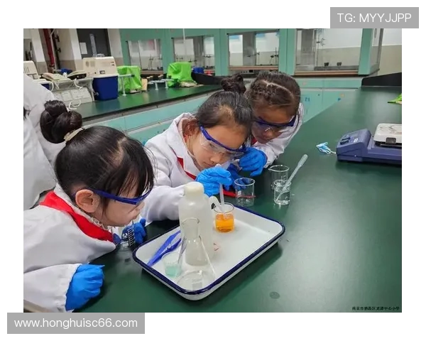 陈芳的乒乓球人生深度对话探索她的奋斗与梦想之路