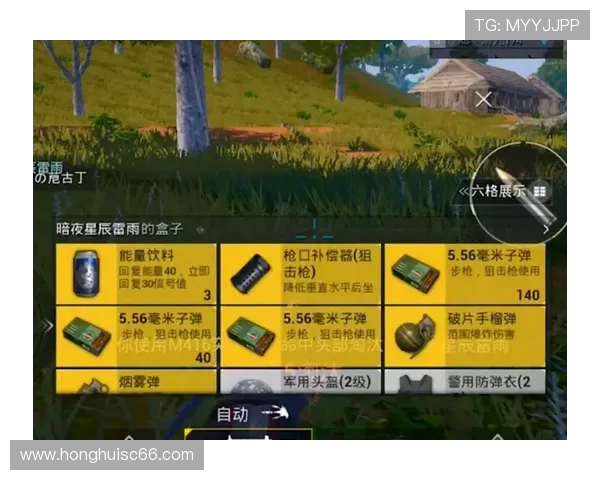 和平精英巨献：深入解析LNG的极速战斗与策略运用