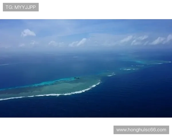 广州攀岩队团队协作引发热议背后的争议与思考