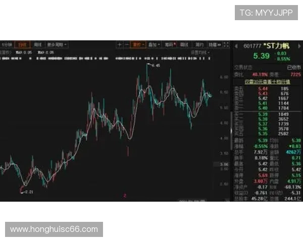 重庆飞盘队配合表现分析与战术探讨：数据背后的团队协作之道